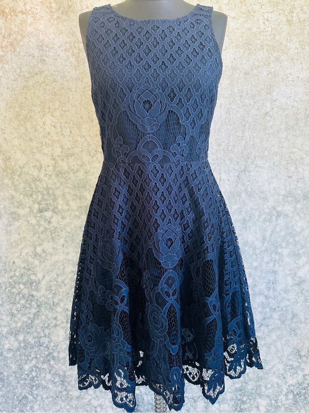 Back swan Sleeveless Navy Lace Fit & Flare Dress